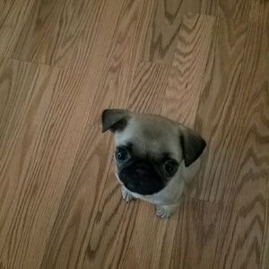 Meet your Posher, Ed